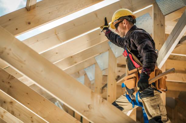 Best Roof Gutter Cleaning  in Alton, TX